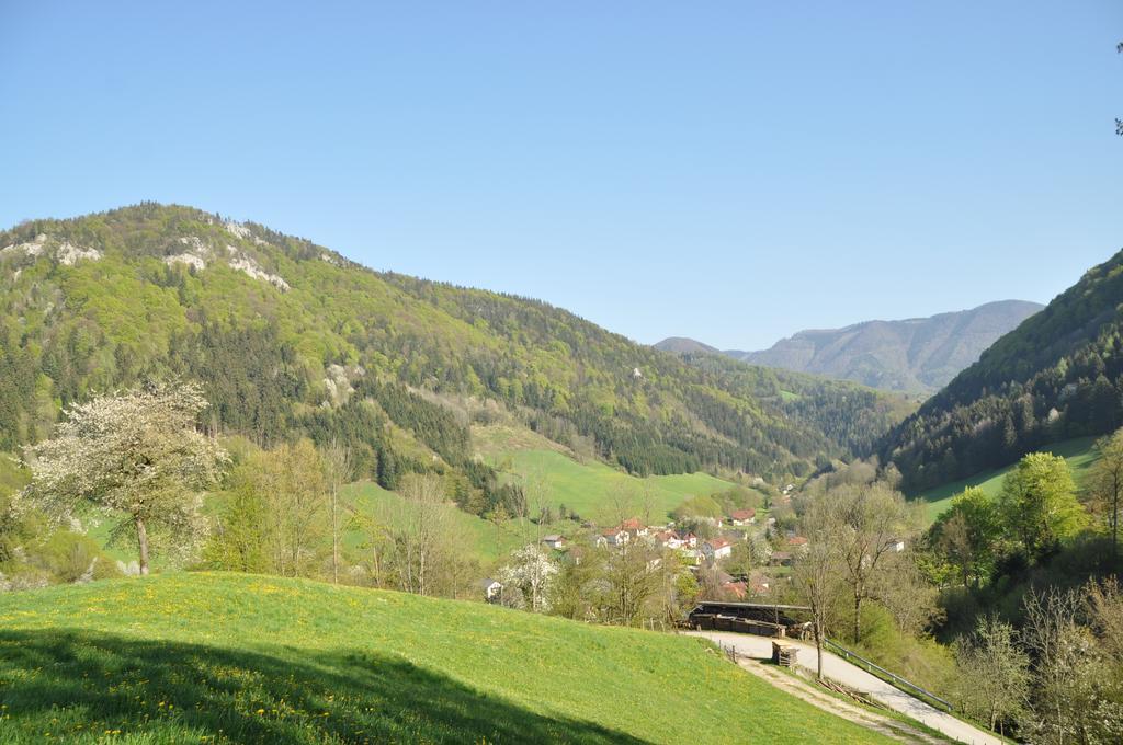 Apart Dirndltal Loich Exterior foto